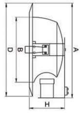 �������. �����